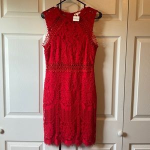 Red, fitted, lace cocktail dress